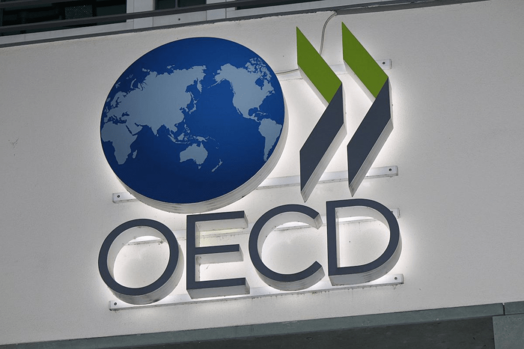 OECD raises growth forecasts on vaccine rollouts, U.S. stimulus