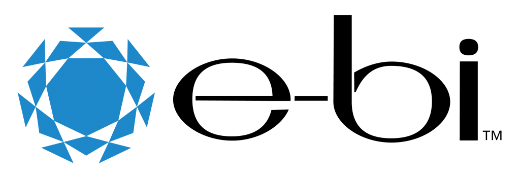 E-Business International logo